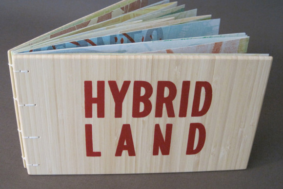 Hybrid Land